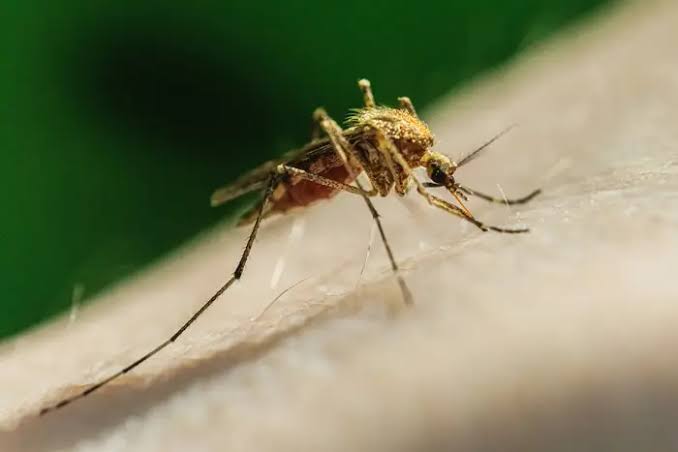π¦ ZIKA VIRUS REPORTED IN NEW JERSEY FOR FIRST TIME SINCE 2020